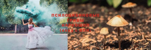 крисы Абинск