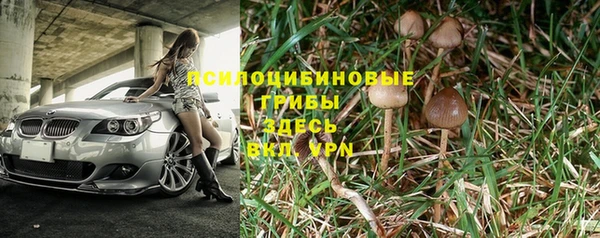 крисы Абинск