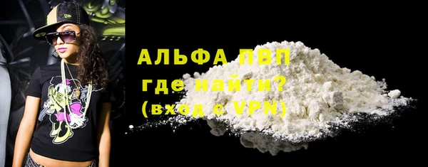 гашик Абаза