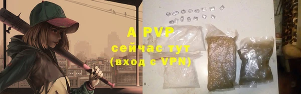 гашик Ростов