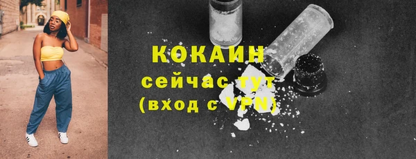 гашик Абаза
