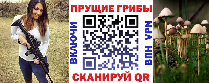 что такое наркотик  Зея  Псилоцибиновые грибы Magic Shrooms 